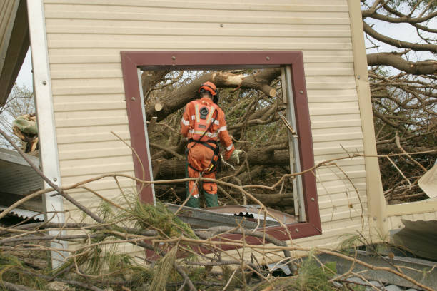 Leaf Removal in Tazewell, TN